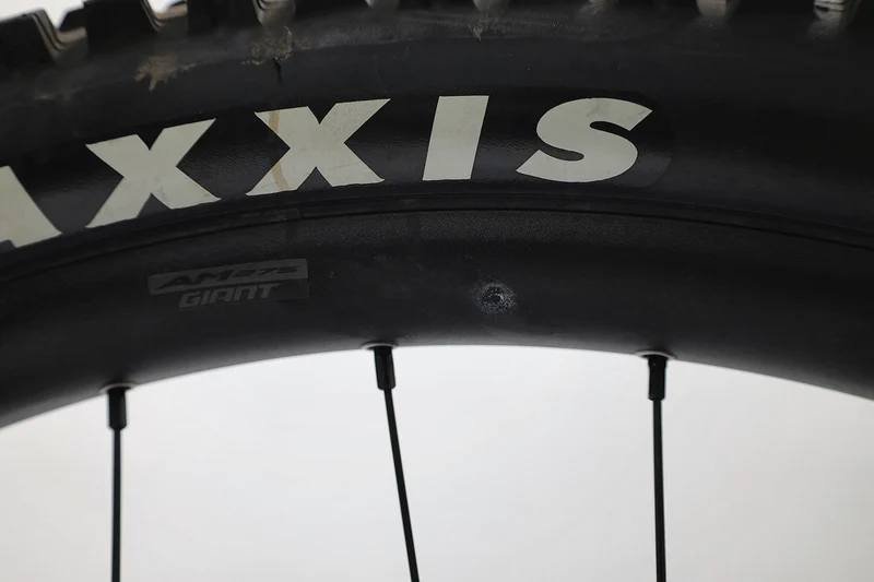 GIANT Reign E+ 2 2022 T.M