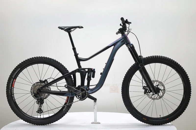 GIANT Reign 1 2024 T.M