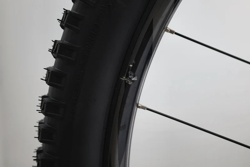 GIANT Reign 1 2024 T.M