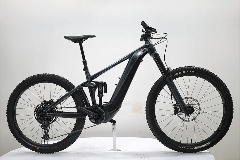 GIANT Reign E+ 2 2022 T.M