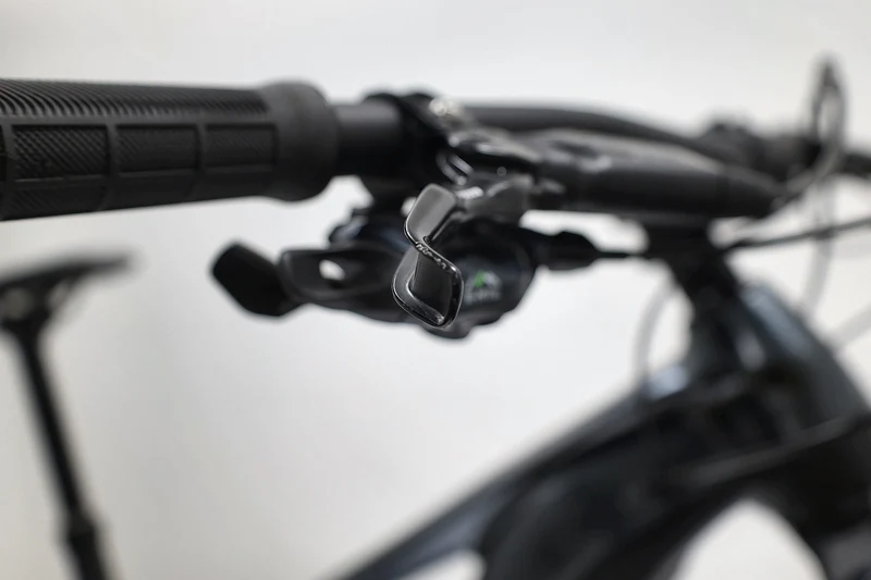 GIANT Reign E+ 2 2022 T.M