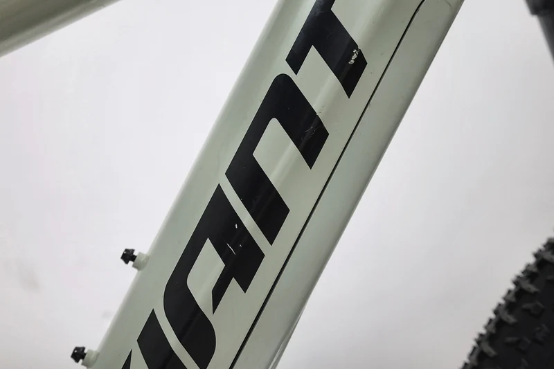 GIANT Stance E+ 1 2021 T.M