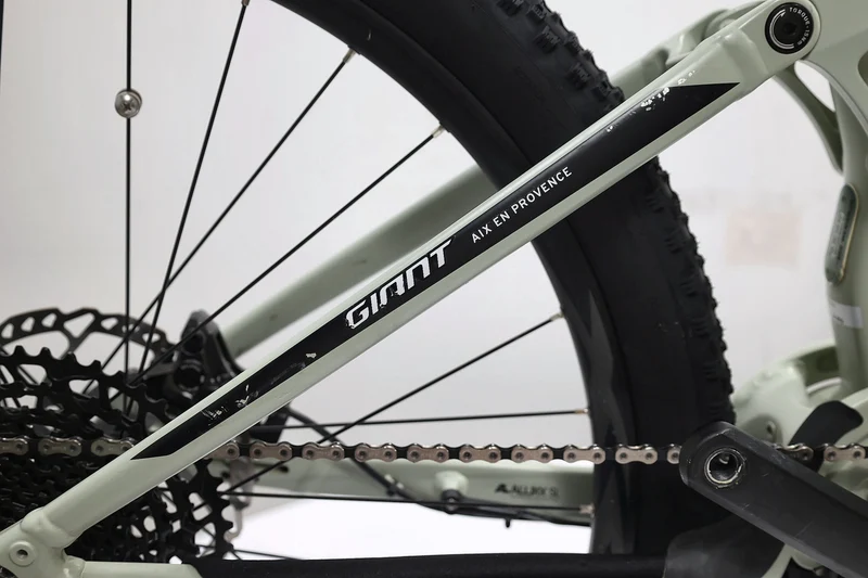 GIANT Stance E+ 1 2021 T.M