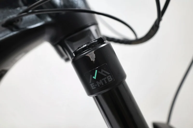 GIANT Reign E+ 2 Pro 2022 T.L