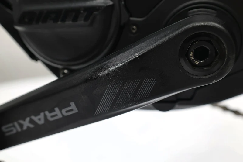 GIANT Reign E+ 2 Pro 2022 T.L