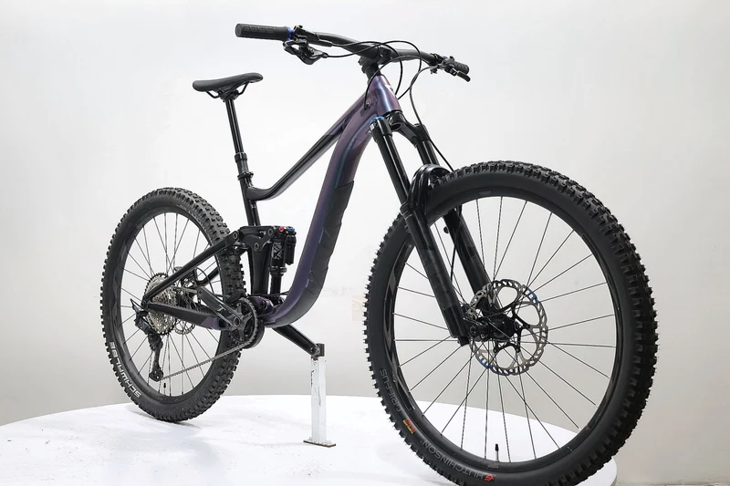GIANT Reign 1 2024 T.M
