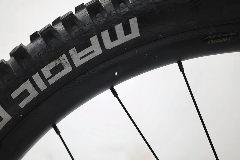 GIANT Reign 1 2024 T.M