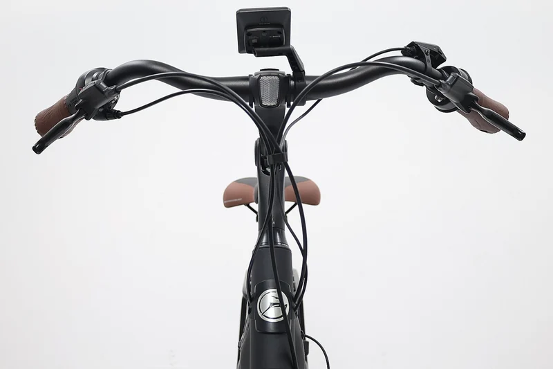 GAZELLE Arroyo C8 HMB Elite 2024 T.L