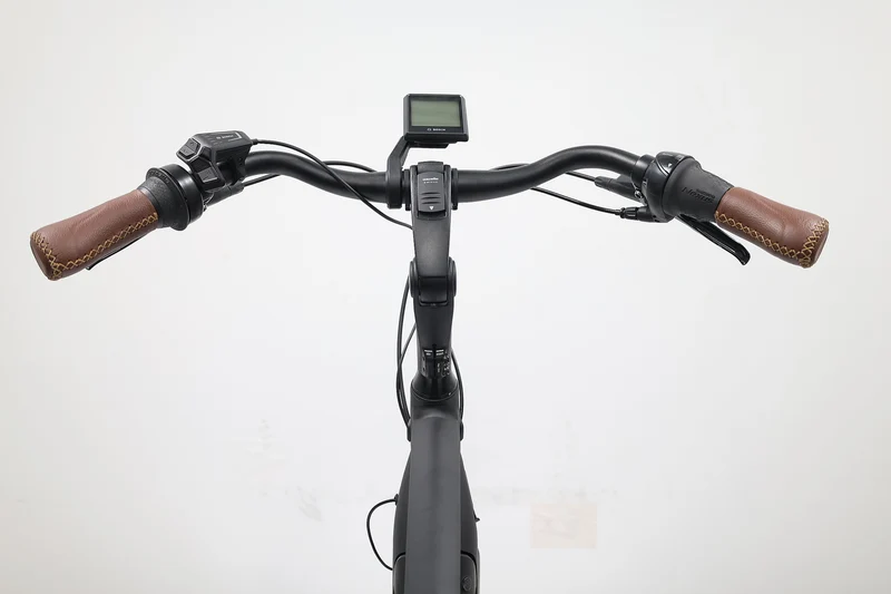 GAZELLE Arroyo C8 HMB Elite 2024 T.L
