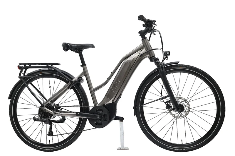 LIV Amiti E+ 3 2022 T.M