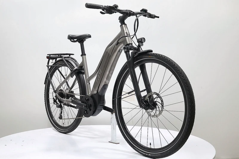 LIV Amiti E+ 3 2022 T.M