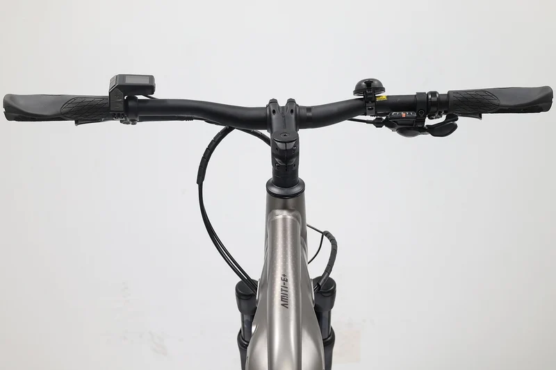 LIV Amiti E+ 3 2022 T.M