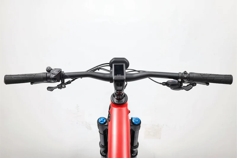 RIESE & Müller Delite Mountain Touring 2022 T.47