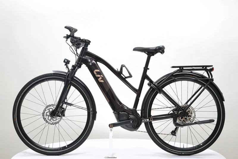 LIV Amiti E+ 2D Rosewood 2022 T.M