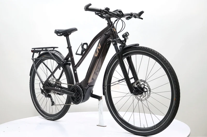 LIV Amiti E+ 2D Rosewood 2022 T.M