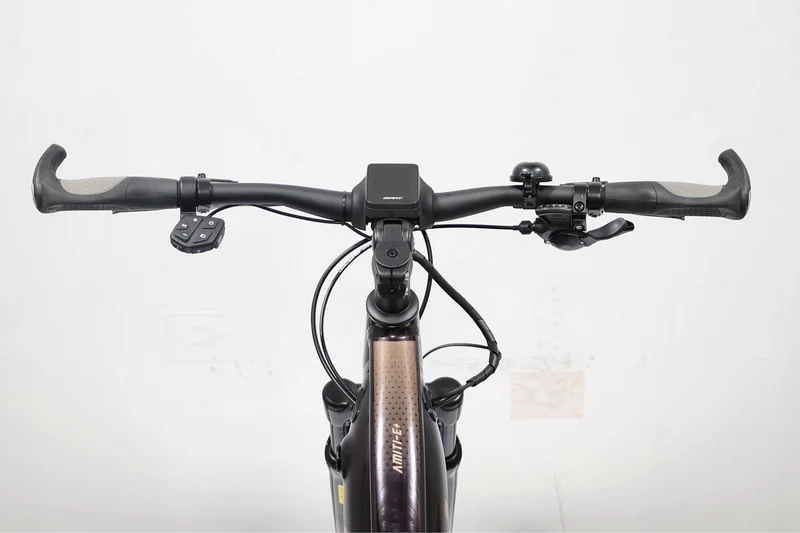 LIV Amiti E+ 2D Rosewood 2022 T.M