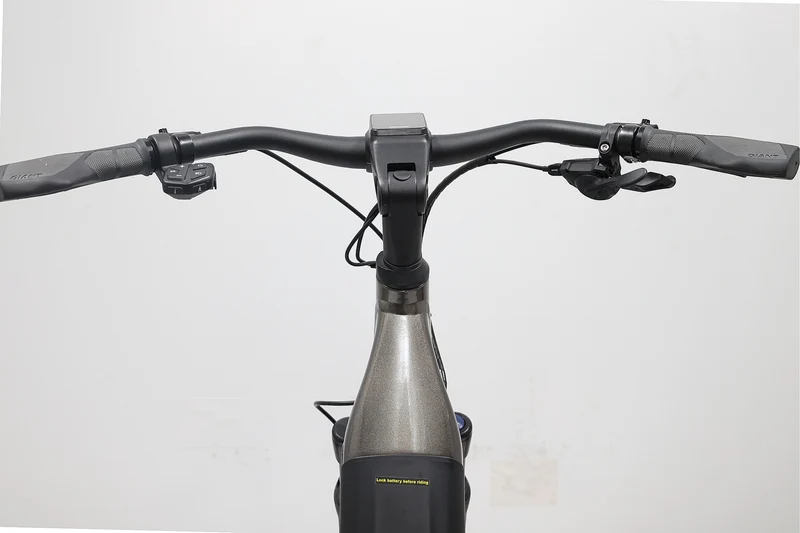 GIANT Dailytour E+ 2 D LDS 2022 T.M