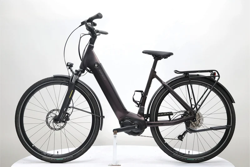 GIANT Anytour E+ 3 LDS 2021 T.M