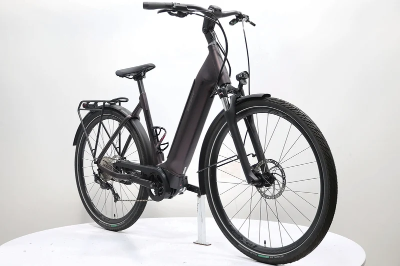 GIANT Anytour E+ 3 LDS 2021 T.M
