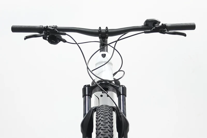 TREK Powerfly 5 2021 T.L