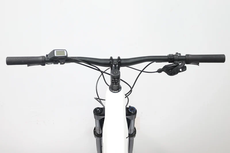 TREK Powerfly 5 2021 T.L