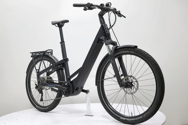 WINORA Yakun 10 2022 T.55
