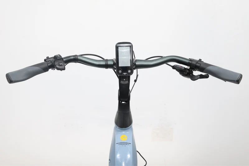 GAZELLE Chamonix T10 HMS Low-Step 2022 T.S