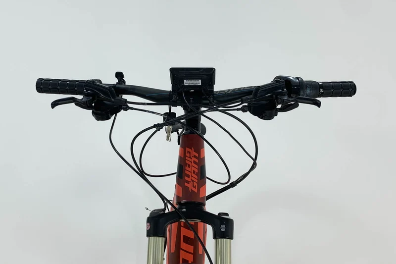 GIANT Dirt E+ 1