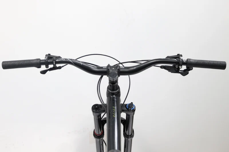 GIANT Reign 2 2021 T.L