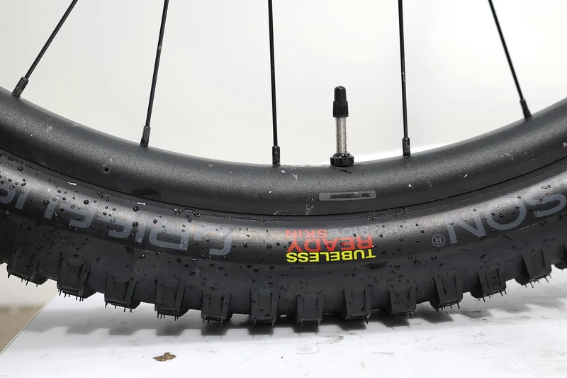 GIANT Reign 2 2021 T.L
