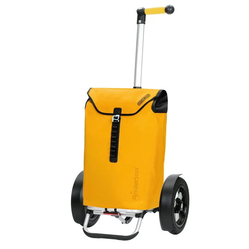 Caddie pour vélo Andersen Tura avec sac étanche Ortlieb