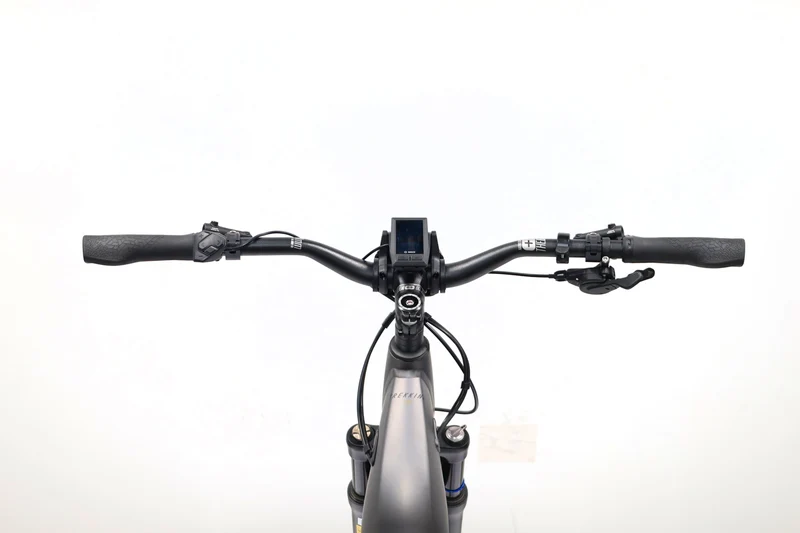 HAIBIKE Trekking 10 Low 2022 T.M