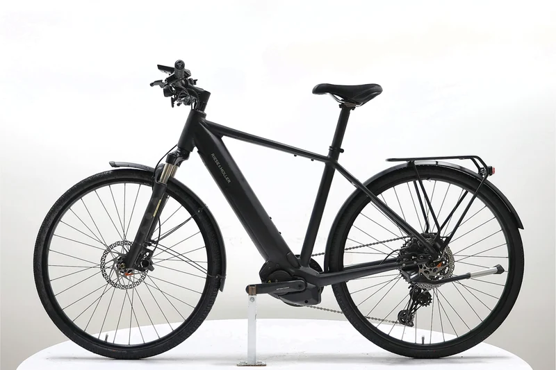 RIESE & MÜLLER Roadster Touring 2022 T.51