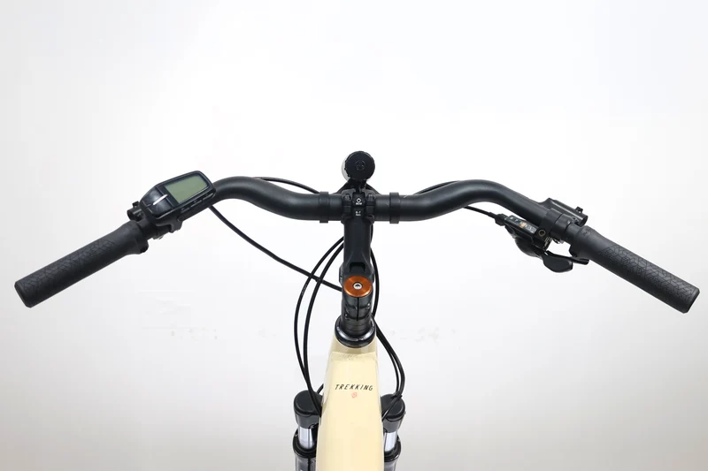 Haibike Trekking 4 Lowstep 2021 T.S 254301