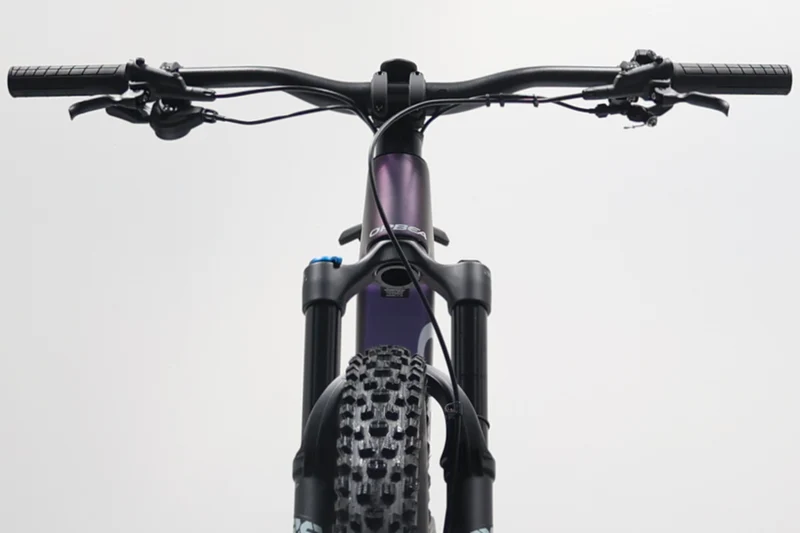 ORBEA Rise LT M20 2025 T.M 255188