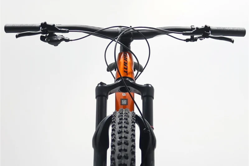GIANT Trance X 29 1 2022 T.M 254441