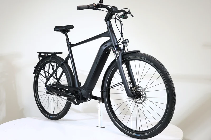 GIANT DailyTour E+ 2 GTS 2021 T.XL