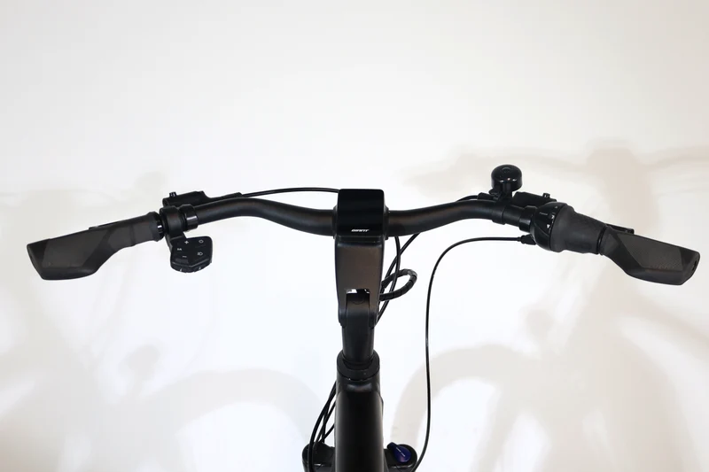 GIANT DailyTour E+ 2 GTS 2021 T.XL