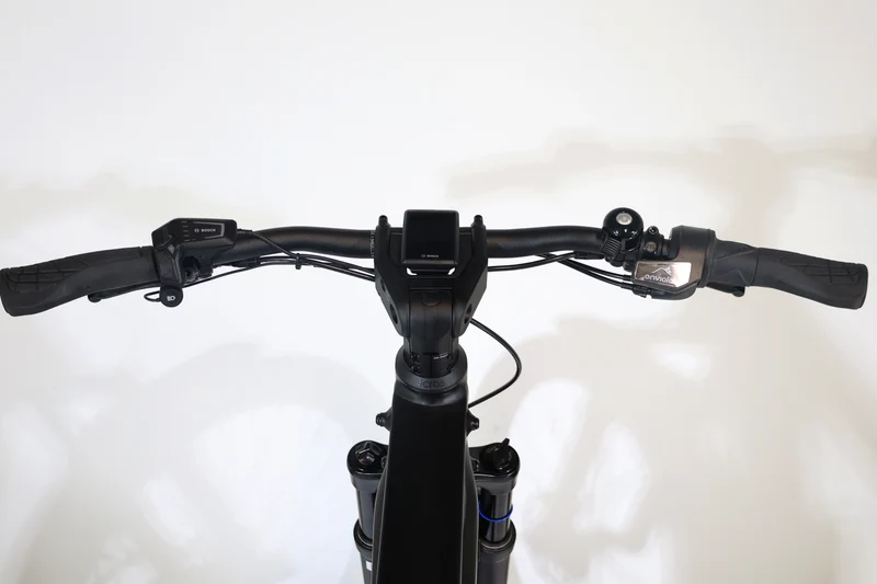 RIESE & MÜLLER Charger4 GT Vario 2022 T.49 252149