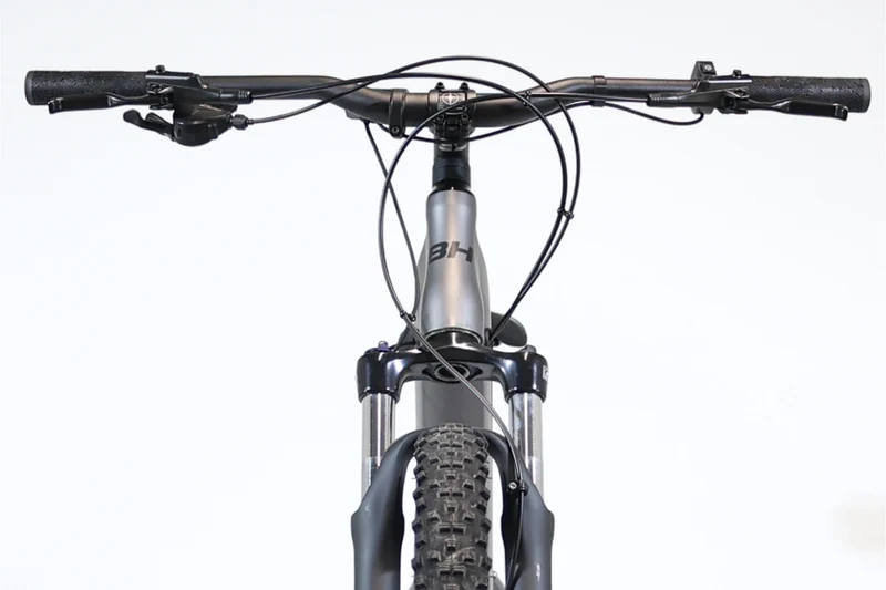 BH Atom 29 2024 T.M 246515