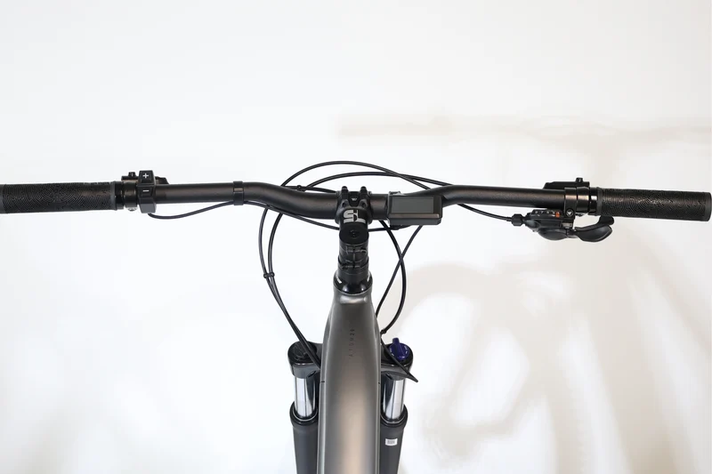 BH Atom 29 2024 T.M 246515
