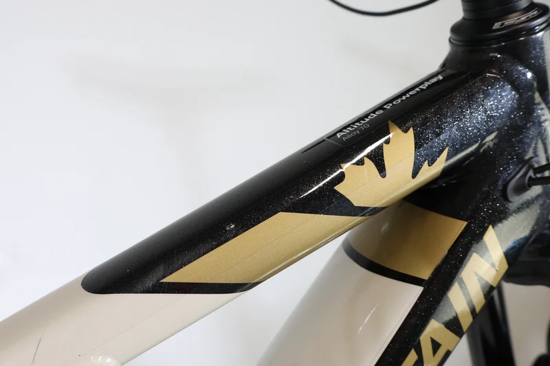 Rocky Mountain Altitude Powerplay Alu 70 2020 T.L 248224