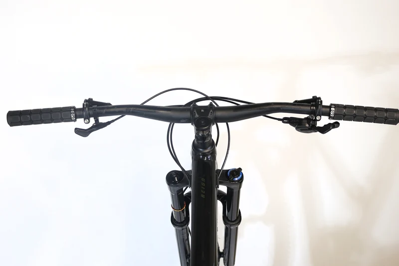 GIANT Reign 29 2 2021 T.L