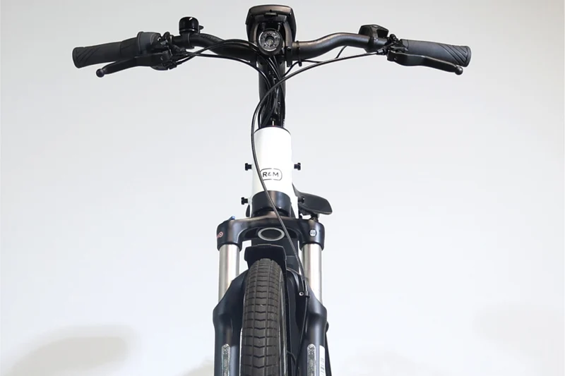 Riese&Müller Charger3 Vario 2021 T.53 252148