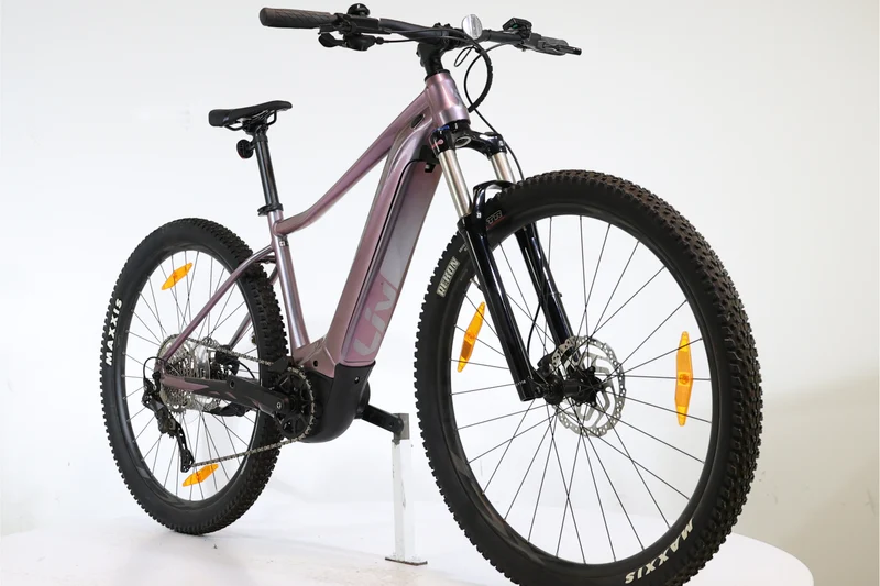 GIANT Liv Vall E+2 2022 T.M 250803