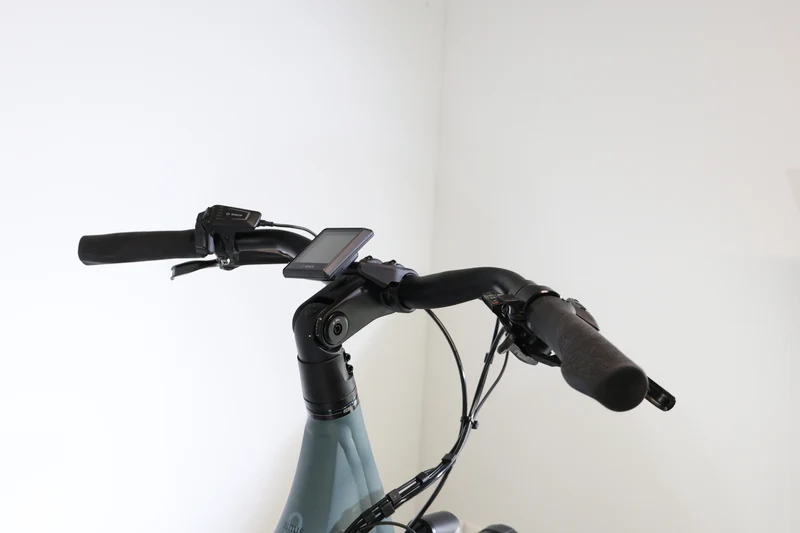 WINORA Sinus 9 2024 T.M 248595