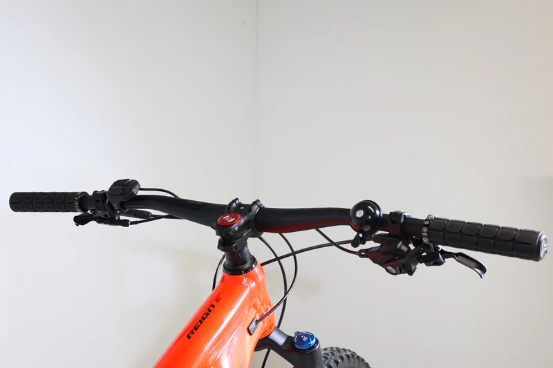 GIANT Reign E+ 1 Pro 2020 T.M 251359