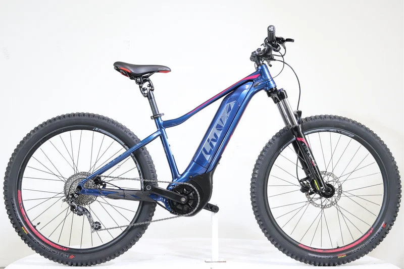 GIANT LIV Vall-E+3 Power 2019 T.S 245765