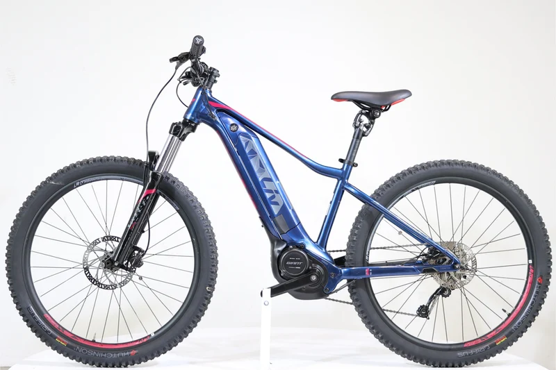 GIANT LIV Vall-E+3 Power 2019 T.S 245765