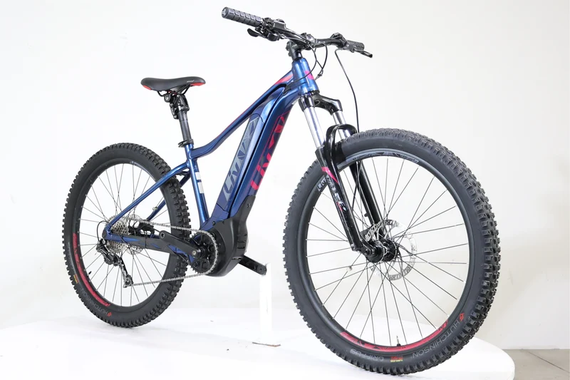 GIANT LIV Vall-E+3 Power 2019 T.S 245765